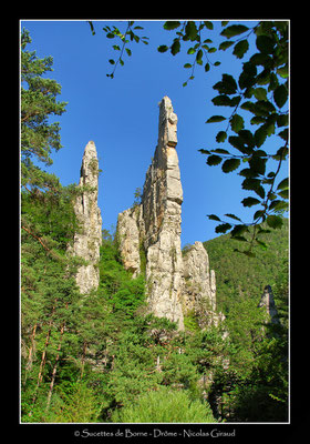 Sucettes de Bortne - P.N.R. du Vercors © Nicolas GIRAUD