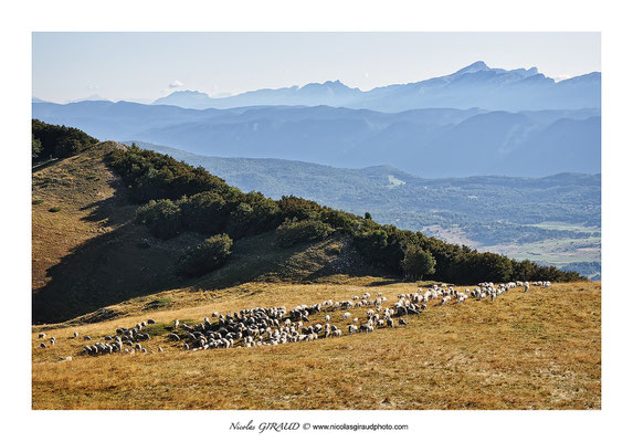 Puy de la Gagère - P.N.R. du Vercors © Nicolas GIRAUD