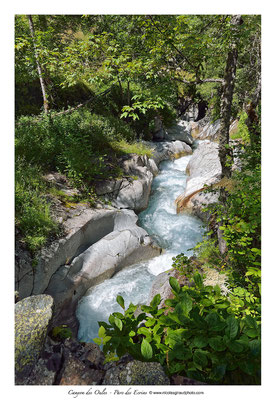 Gorges des Oules  - P.N.E. © Nicolas GIRAUD