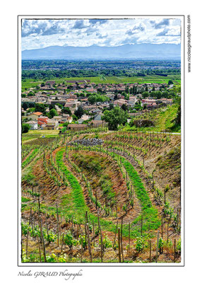 St Péray  - Ardèche© Nicolas GIRAUD