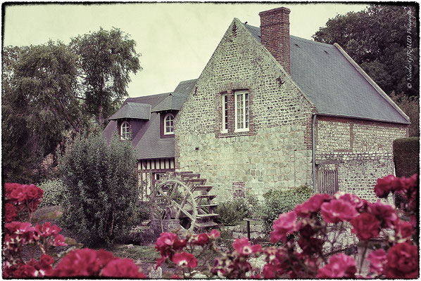 Veules les Roses - Normandie © Nicolas GIRAUD