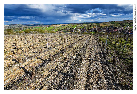 Jussy - Yonne © Nicolas GIRAUD