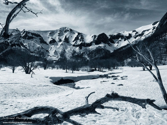 Réserve de Chaudefour - P.N.R. des Monts Auvergne © Nicolas GIRAUD