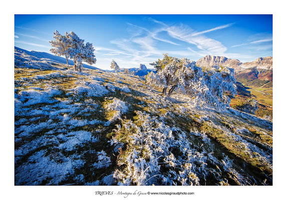 Montagne de Gresse - P.N.R. du Vercors © Nicolas GIRAUD