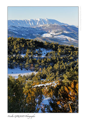 Depuis la montagne de l'Arsuc © Nicolas GIRAUD