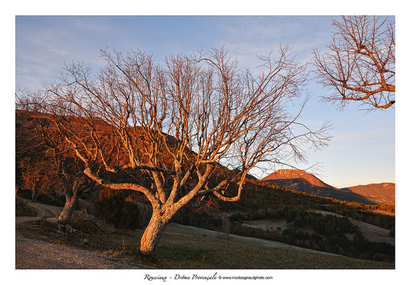 Roussieux - Drôme Provençale © Nicolas GIRAUD