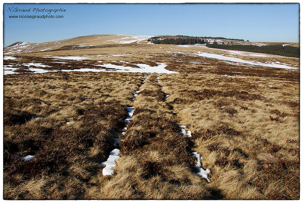 L'Adventif - P.N.R. des Monts Auvergne © Nicolas GIRAUD