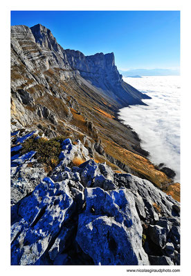 Réserve des hauts plateaux- P.N.R. du Vercors © Nicolas GIRAUD