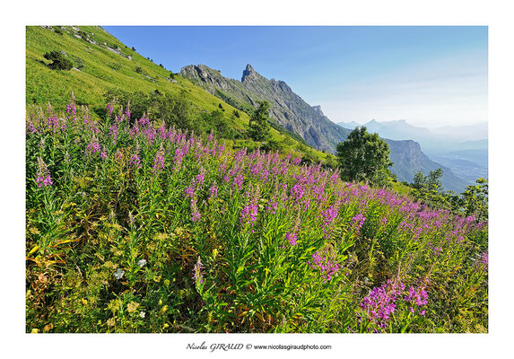 Sentier du col vert - P.N.R. du Vercors © Nicolas GIRAUD