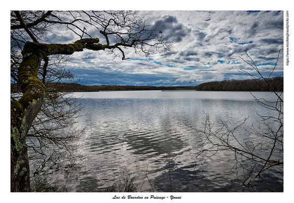 Lac de Bourdon - Yonne © Nicolas GIRAUD