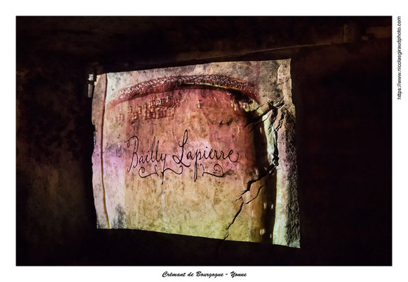 Cave de Bailly - Auxerrois © Nicolas GIRAUD