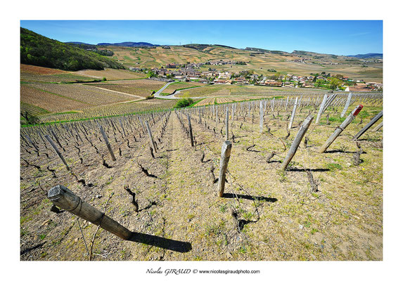 Fuissé - Saône et Loire © Nicolas GIRAUD