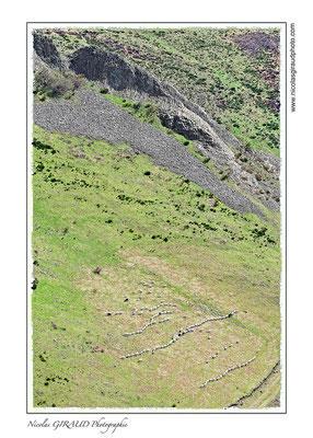 Montagne Ardéchoise - P.N.R. des Monts d'Ardèche