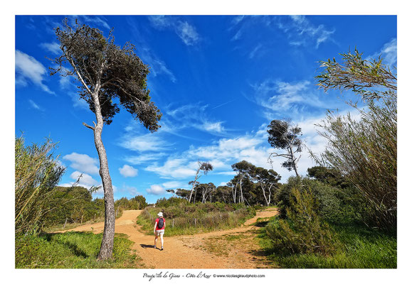 Sentier du littoral - Presqu'île de Giens - Côte d'Azur © Nicolas GIRAUD