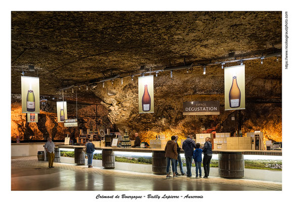 Cave de Bailly - Auxerrois © Nicolas GIRAUD