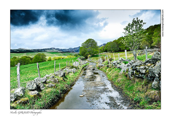 Fontaine Salée - P.N.R. des Monts Auvergne © Nicolas GIRAUD