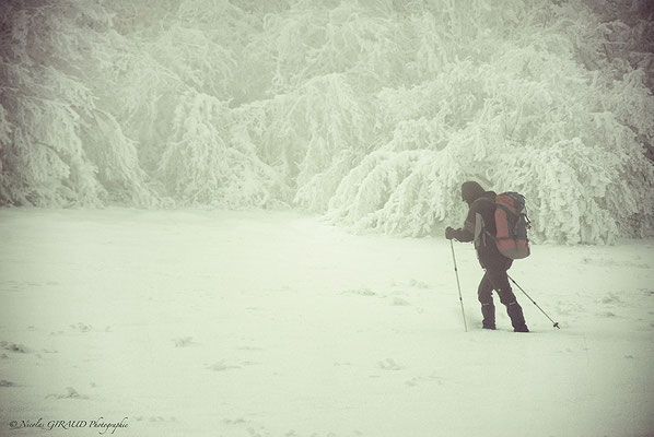 Chaine des Puys - P.N.R. des Monts Auvergne © Nicolas GIRAUD