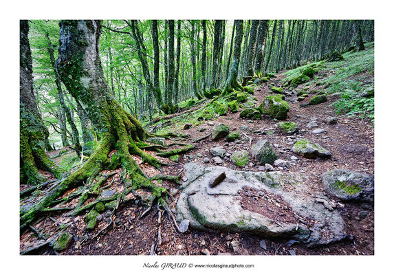 Col de pertus - Monts du Cantal © Nicolas GIRAUD