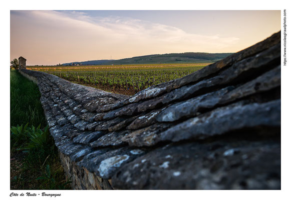 Côte de Nuits - Côte d'Or © Nicolas GIRAUD