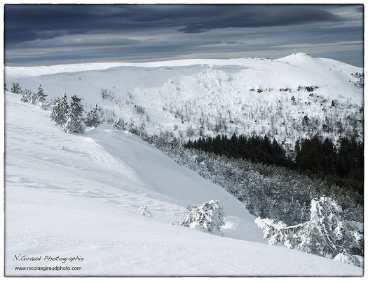 Massif de l'Adventif - P.N.R. des Monts Auvergne © Nicolas GIRAUD