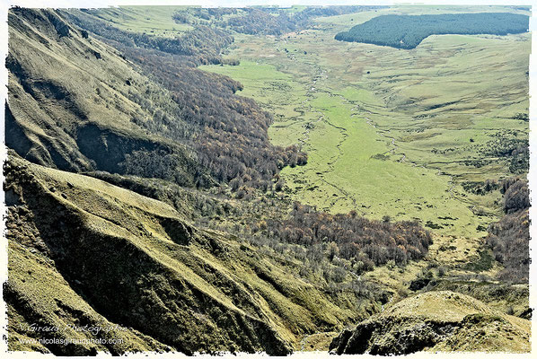 Réserve de la Fontaine Salée - P.N.R. des Monts Auvergne © Nicolas GIRAUD