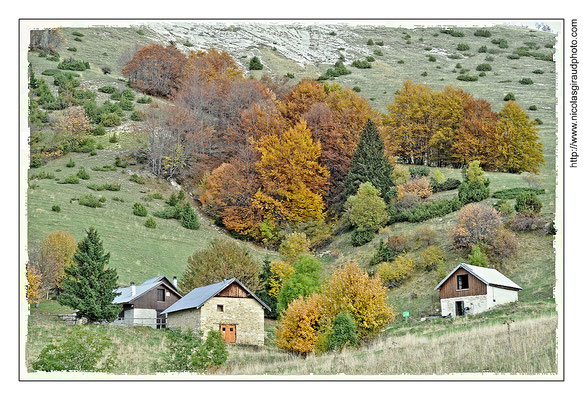 Sornin - P.N.R. du Vercors © Nicolas GIRAUD