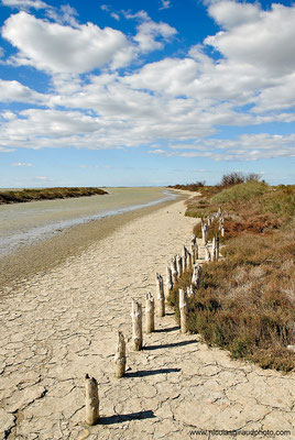 P.N.R. de Camargue © Nicolas GIRAUD