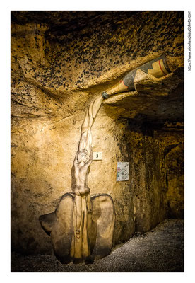 Cave de Bailly - Auxerrois © Nicolas GIRAUD