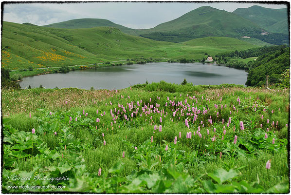 Lac du Guéry - P.N.R. des Monts Auvergne © Nicolas GIRAUD