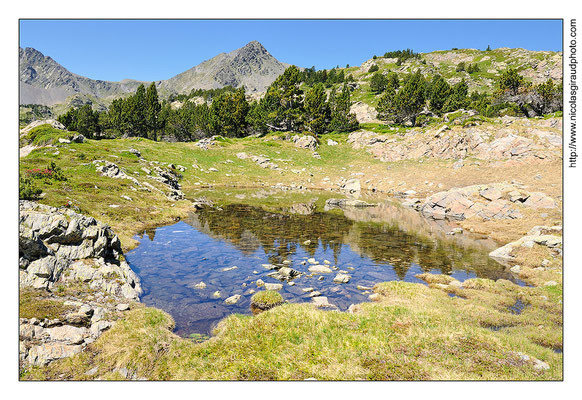 Site des Camporells - Pyrénées Orientales © Nicolas GIRAUD