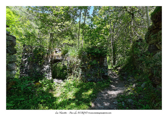 Ruine de la Navette - P.N.E. © Nicolas GIRAUD