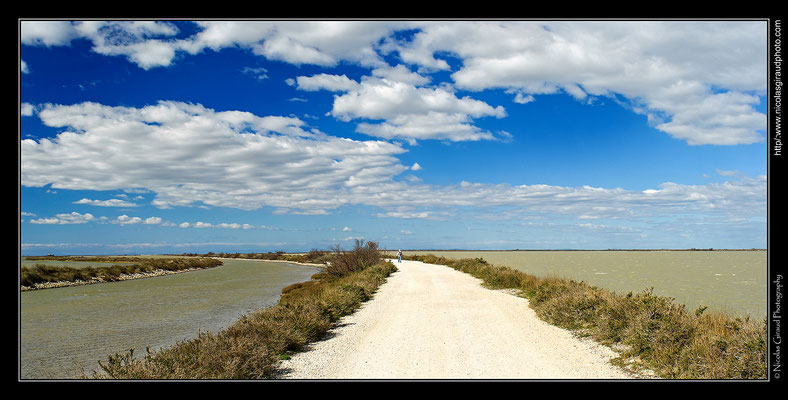 Camargue © Nicolas GIRAUD