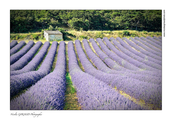 Drôme Provençale © Nicolas GIRAUD