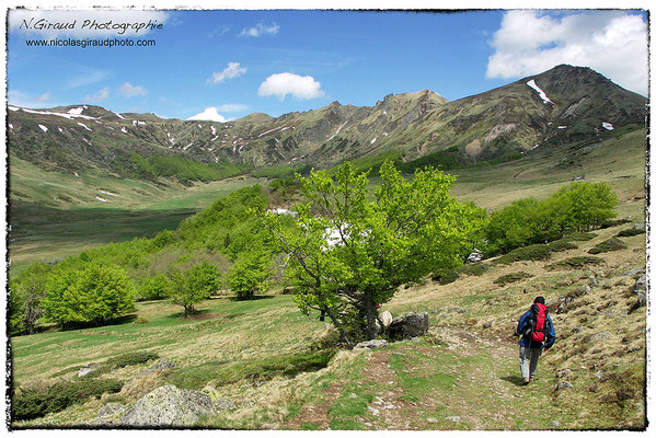 Réserve Naturelle de la Fontaine Salée - P.N.R. des Monts Auvergne © Nicolas GIRAUD