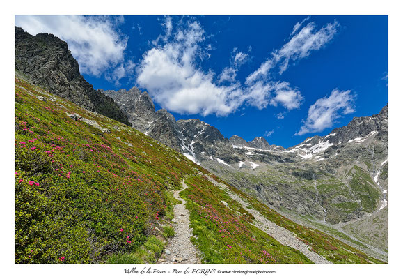 Vallon de la Pierre - P.N.E. © Nicolas GIRAUD