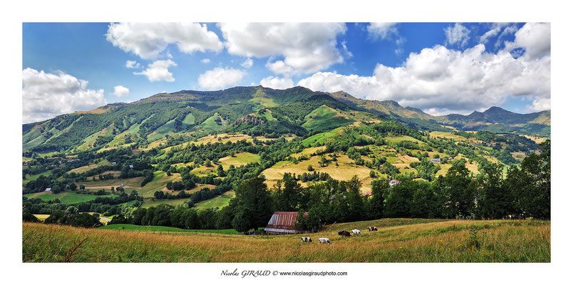 Vallée de la Jordanne et Cabrespine - Monts du Cantal © Nicolas GIRAUD