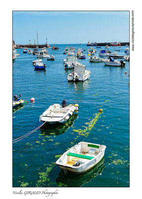 Barfleur - Cotentin © Nicolas GIRAUD