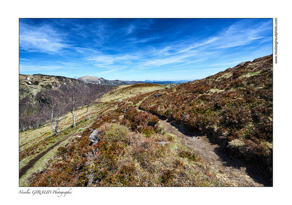 Réserve de la vallée de Chaudefour © Nicolas GIRAUD