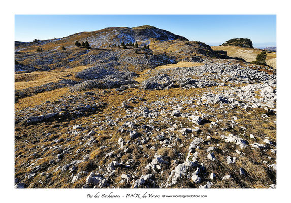 Réserve des Hauts plateaux - P.N.R. du Vercors © Nicolas GIRAUD