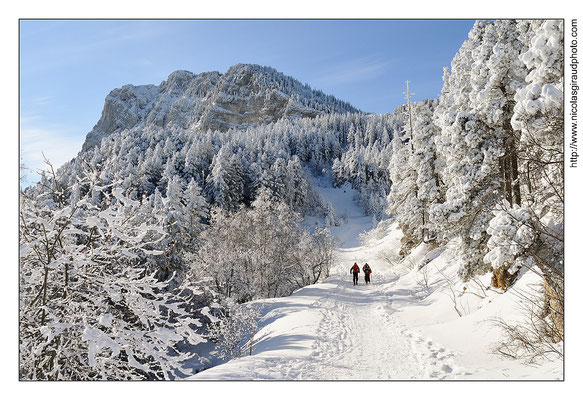 Moucherotte - P.N.R. du Vercors © Nicolas GIRAUD