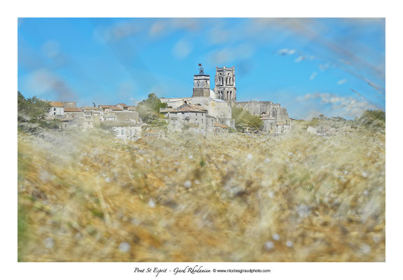 Pont St Esprit - Vallée du Rhône - Gard © Nicolas GIRAUD