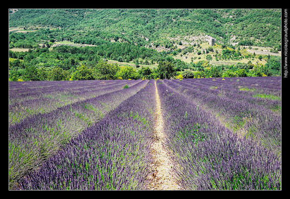 La Roche St Secret - Drôme © Nicolas GIRAUD