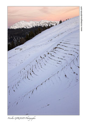 Grande Sure - P.N.R. Massif de la Chartreuse