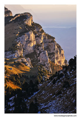 Réserve des Hauts plateaux - P.N.R. Massif de la Chartreuse