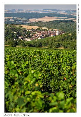 Irancy - Yonne © Nicolas GIRAUD