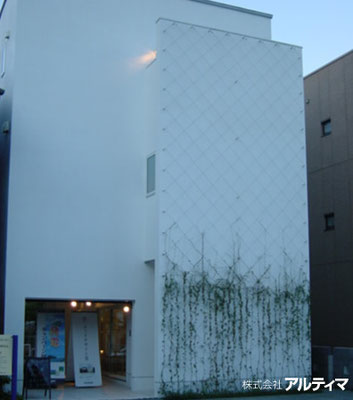 東京都板橋区（住宅展示場）; 2009年4月；アルティマグリーンライン（ダイヤクロス）