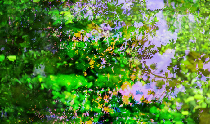 RÉFLEXIONS, Canal du Midi, 2013