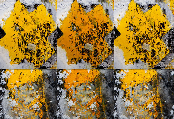 TRACES, Hiver 2014