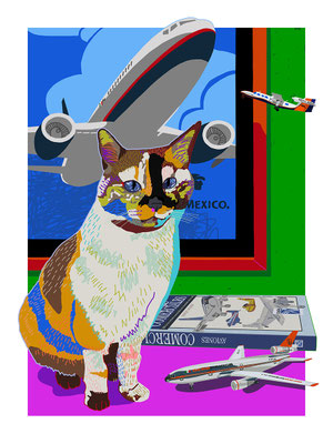 Tika y los aviones