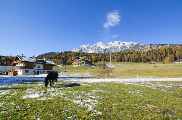 Esterno - Appartamento in affitto a Cadin, Cortina d'Ampezzo